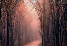 阿森纳壮志凛然，凭实力登顶