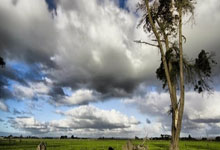 伯明翰的荣耀时刻：阿斯顿维拉欧冠首秀的幕后激战与巅峰憧憬