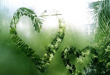 亚特兰大轻取对手，继续保持连胜势头