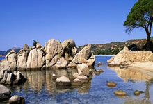 巴萨踢出高效进攻，轻取晋级